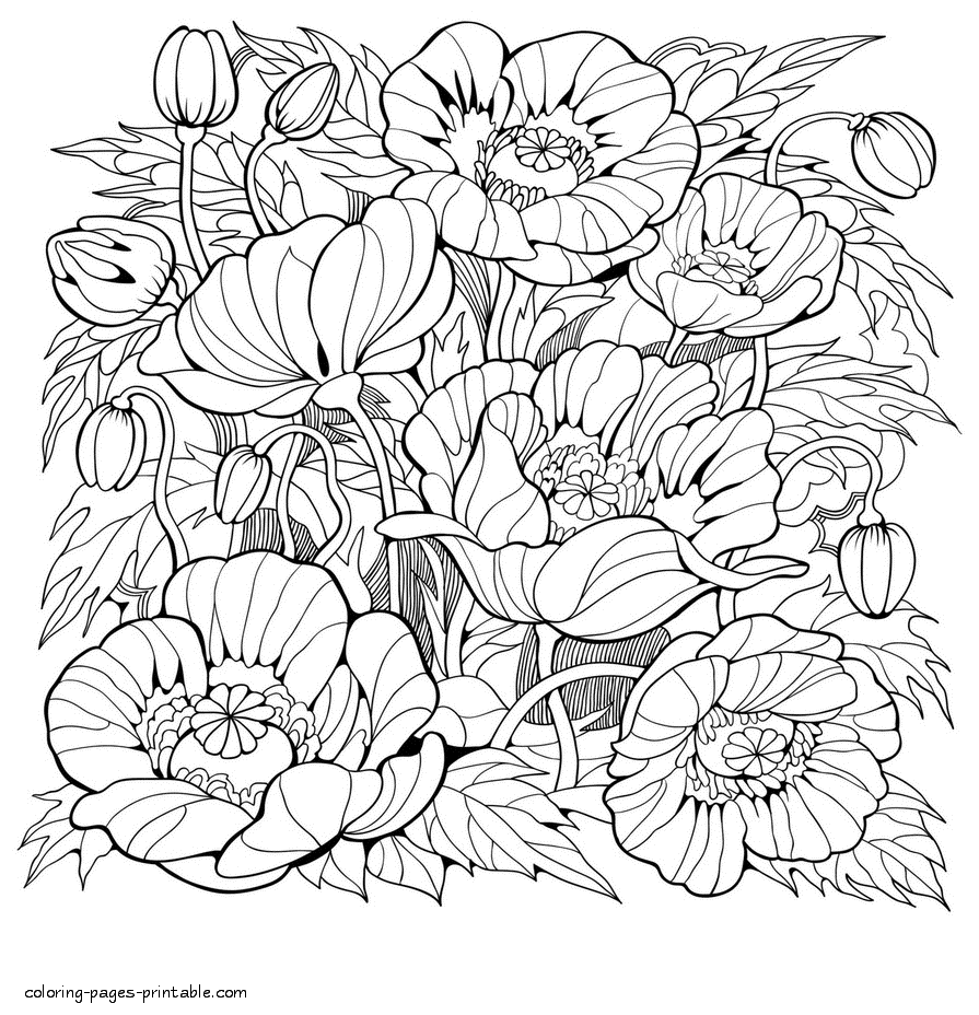 Beautiful Flower Images For Colouring