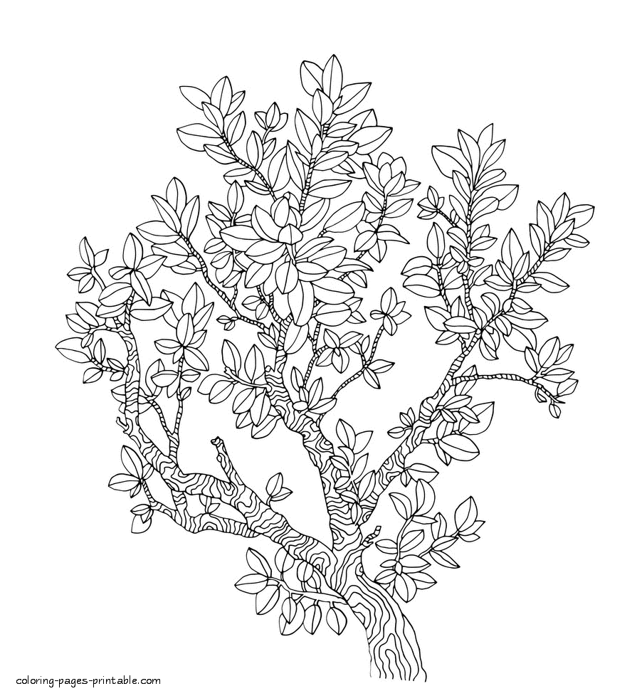 Trees And Flowers Coloring Pages For Adults || COLORING-PAGES-PRINTABLE.COM