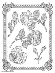 Coloring Pictures Of Flowers For Adults. Roses