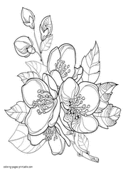 Free Blossom Coloring Page For Adults