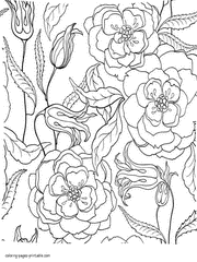 Free Printable Flower. Adult Colouring Pages
