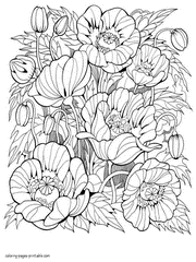 Beautiful Coloring Pages For Adults. Flowers Picture