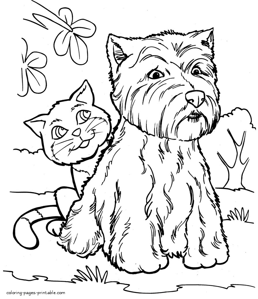 Сat and dog coloring pages to print || COLORING-PAGES-PRINTABLE.COM