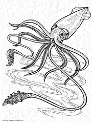 Squid. Sea animals coloring pages for kids