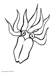 Coloring pages of sea animals. Squid picture