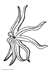 Starfish coloring pages. Sea and ocean animal