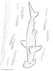 Hammerhead shark coloring pages. Sea animals