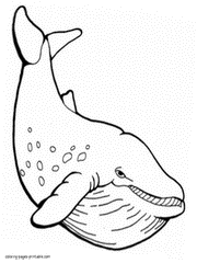 Coloring pages of whale to print