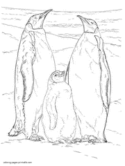Penguins family coloring page. Sea birds