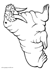 Walrus coloring pages. Nordic animals printables