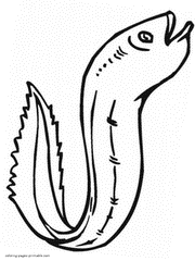 Sea species coloring pages. The eel