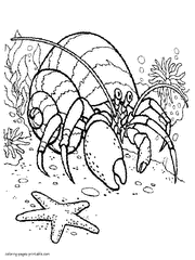 Hermit crab coloring pages to print