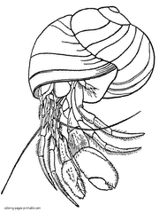 Coloring page of the hermit crab. Sea animals
