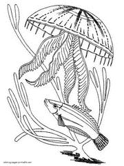 Coloring pages of the animals that live in the sea. Jellyfishes