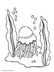 Ocean animals. Jellyfish coloring pages to print