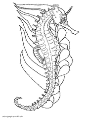 Coloring pages of sea animals. Seahorses pictures