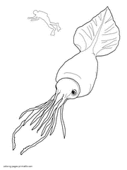 Squid coloring page. Ocean and sea animals
