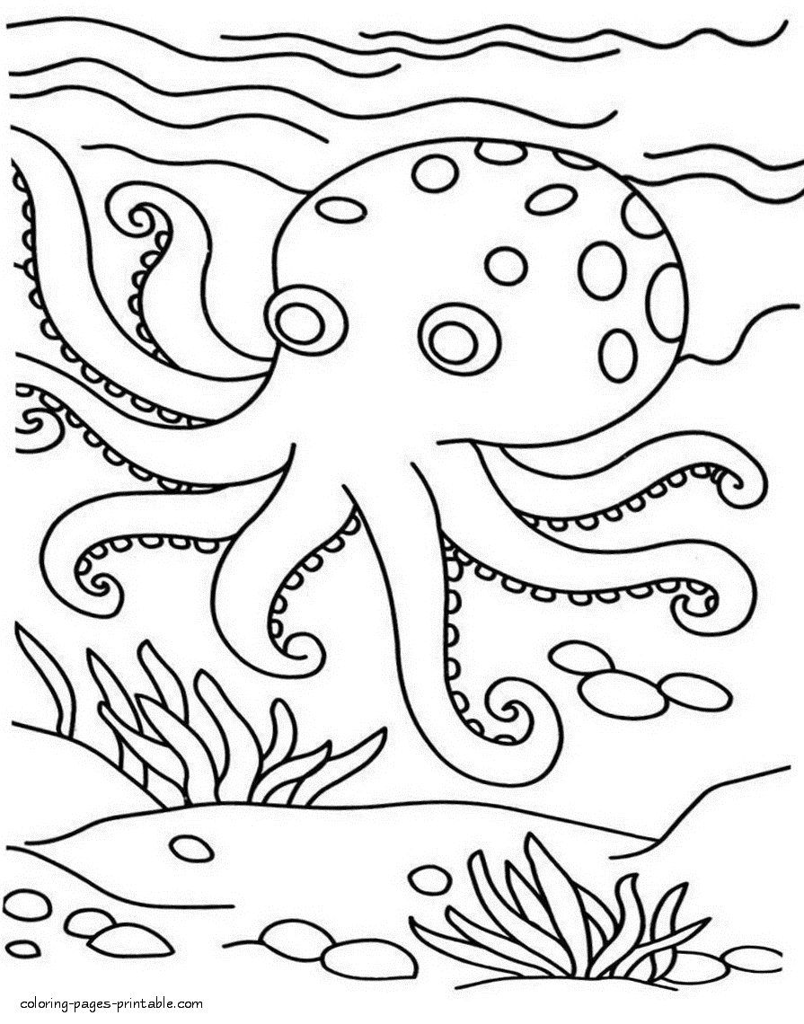 sea animals coloring pictures octopus coloring pages