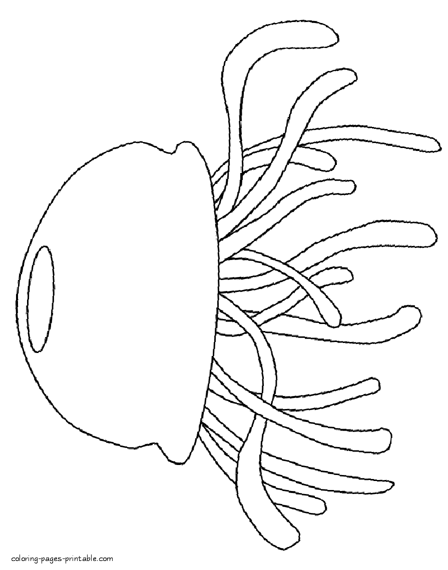 Jellyfish coloring pages for preschoolers. Sea and ocean life
