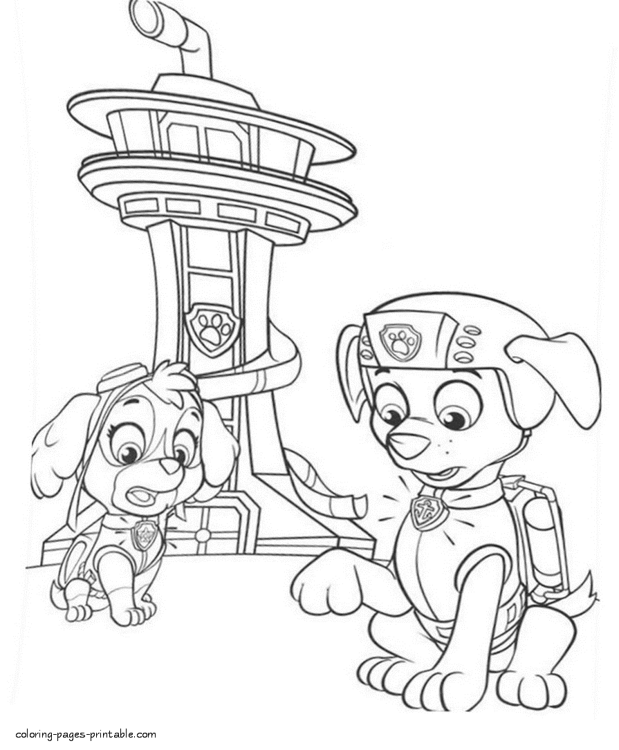 printable paw patrol coloring pages skye and zuma