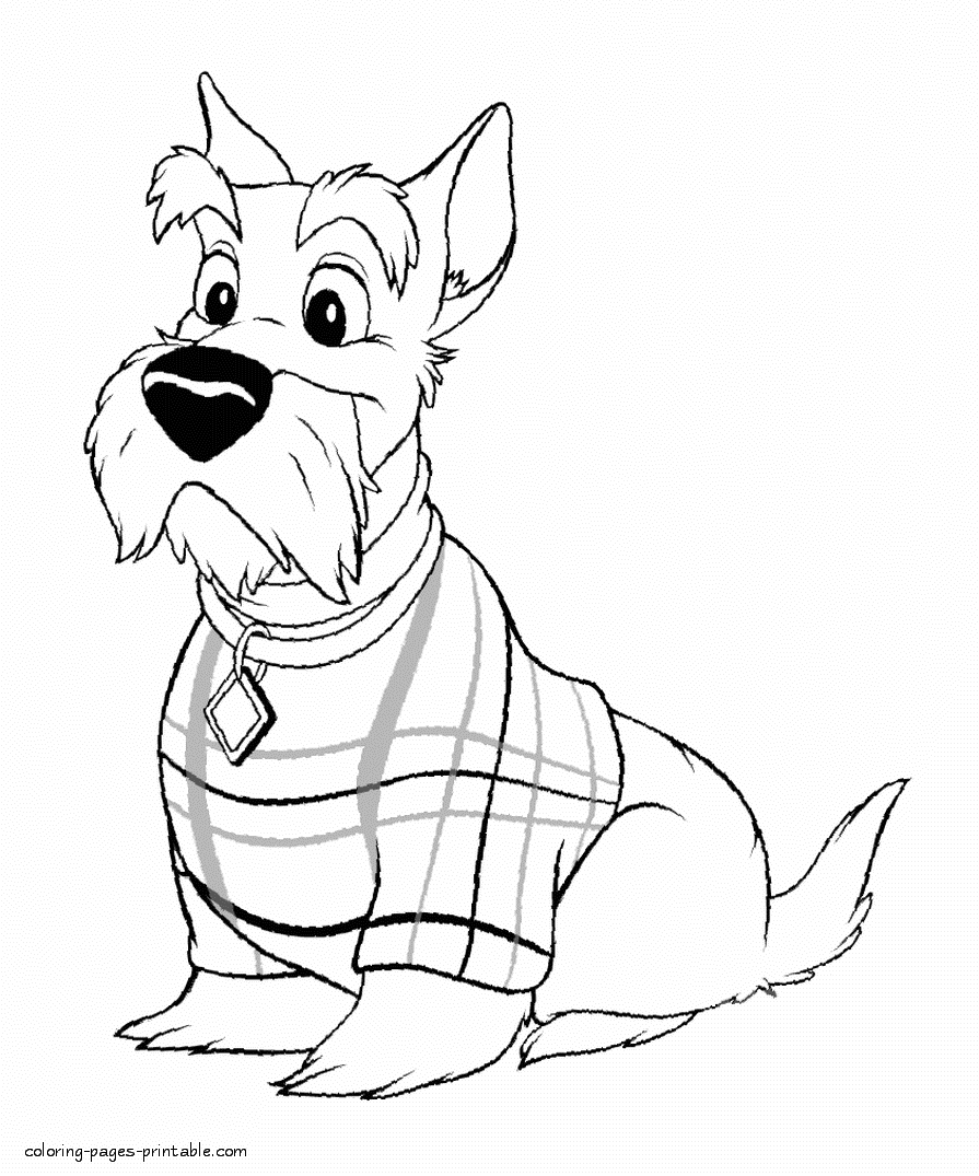 Download Lady and the Tramp. Jock coloring page || COLORING-PAGES-PRINTABLE.COM