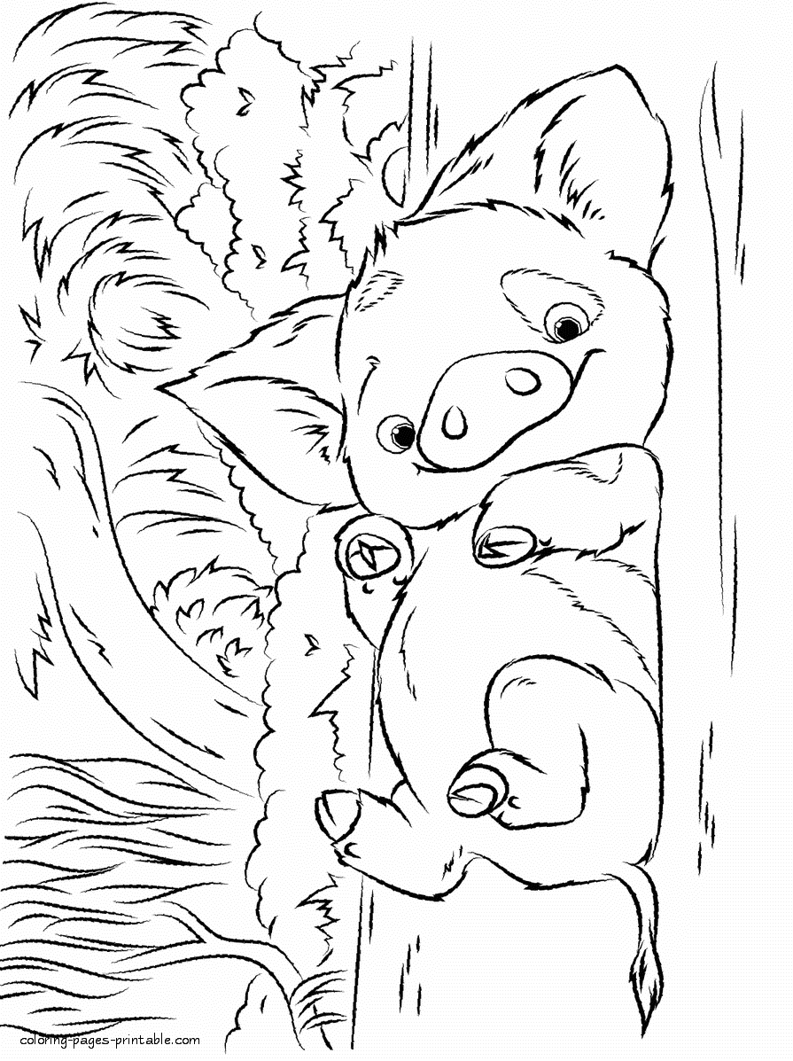 Pua pig coloring page. Print it free