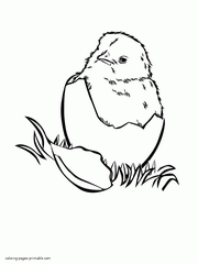 Coloring page of a chick in the egg. Download it free