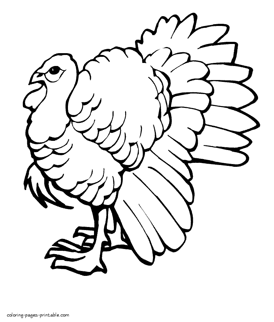 Free coloring pages of Thanksgiving. Turkey