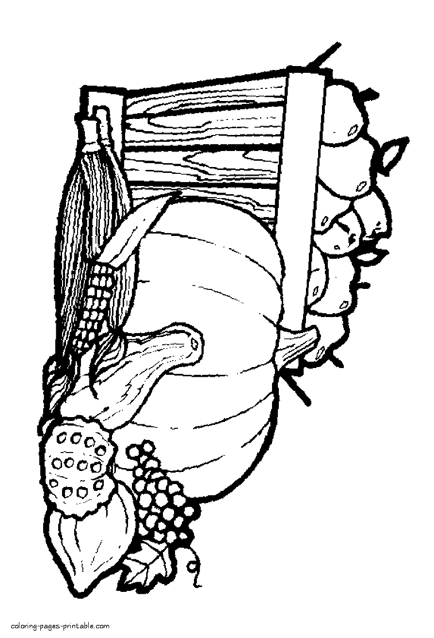 Harvest coloring page for Thanksgiving day