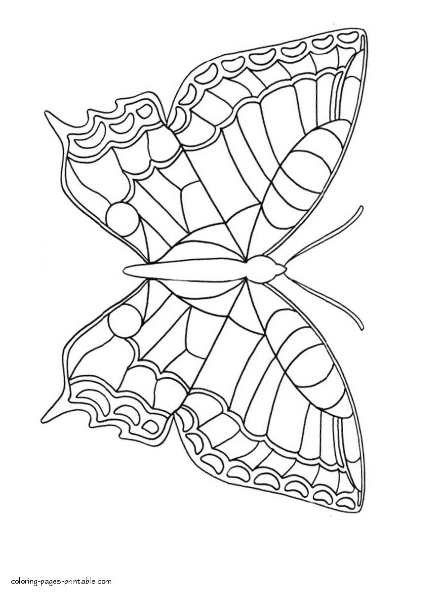 Butterfly printable coloring pages || COLORING-PAGES-PRINTABLE.COM