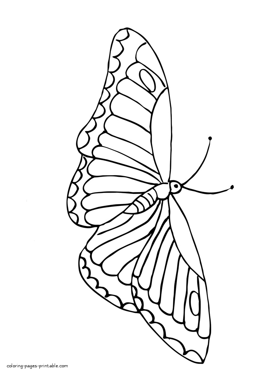 Printable butterfly coloring page || COLORING-PAGES-PRINTABLE.COM