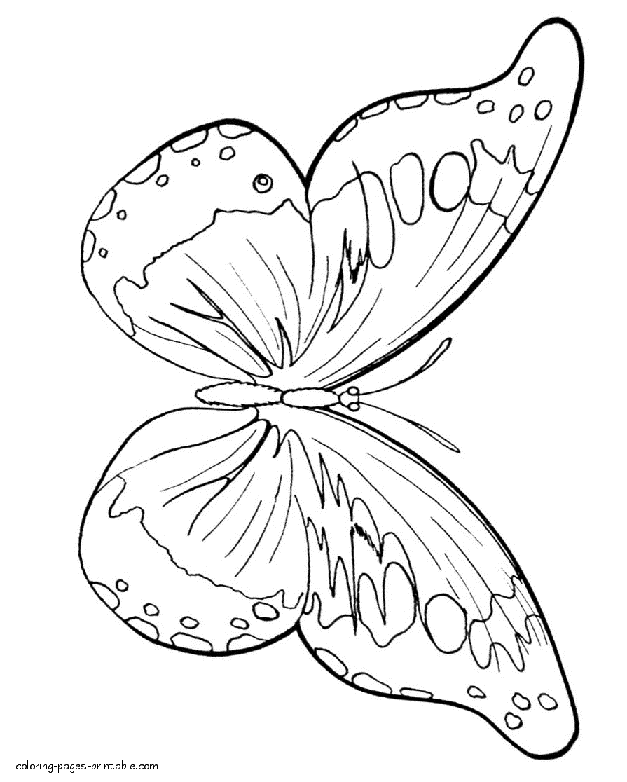 Butterfly beauty coloring page for little girls