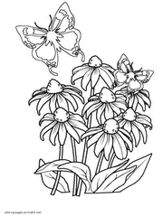 Butterfly and flowers colouring page