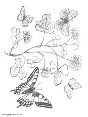 Flowers and butterflies coloring pages printable