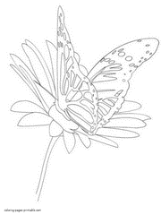Butterfly and flower printable coloring pages