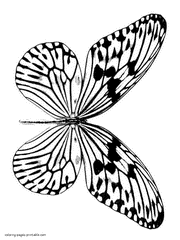 Download Butterfly Coloring Pages Free Printable Pictures For Kids