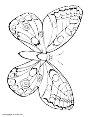Butterfly Coloring Pages. Free Printable Pictures For Kids.