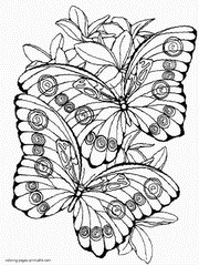 Two cute butterflies printable coloring page