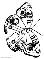 Moth coloring pages for kids