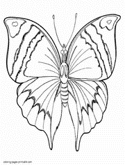 Kids butterfly colouring sheet