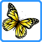 Coloring pages with butterflies for kids