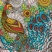 Free Bird Coloring Pages For Adults