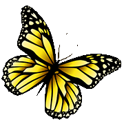 Insects coloring pages. Butterfly