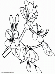 Branch of a blossoming tree coloring page
