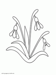 Printable spring colouring sheets. First flowers snowdrops