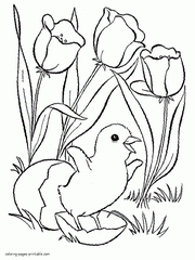 Free spring coloring sheets. Chicken and tulips