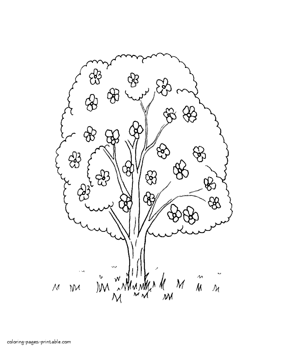 Free spring nature coloring page. Blossom tree
