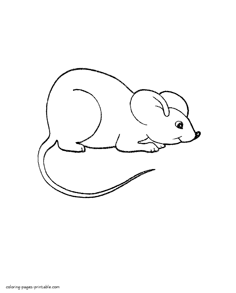 Free printable preschool coloring pages. Mouse || COLORING-PAGES