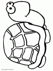 Preschool coloring books. Turtle animal